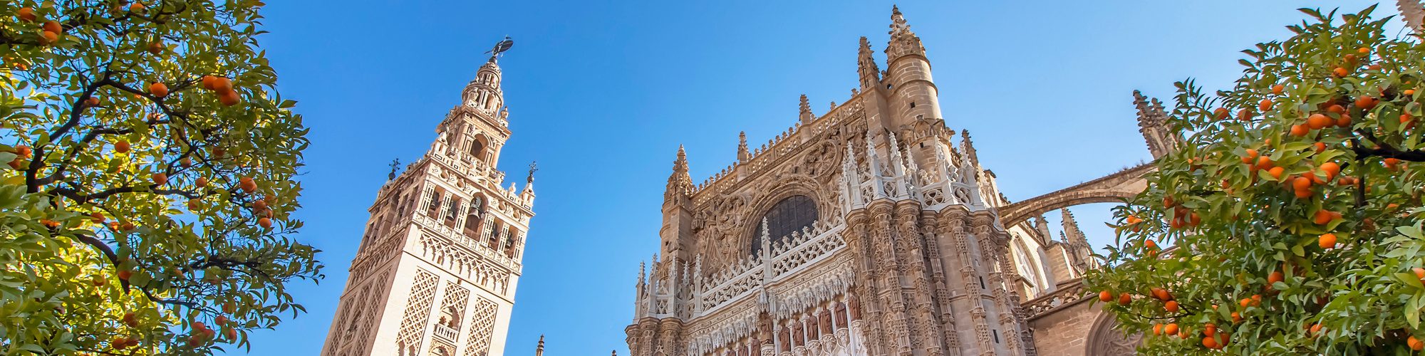 Imagen de la Catedral y la Giralda de Sevilla